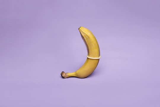 A single banana stands upright against a plain lavender background, covered by a translucent condom, illustrating a symbolic representation.