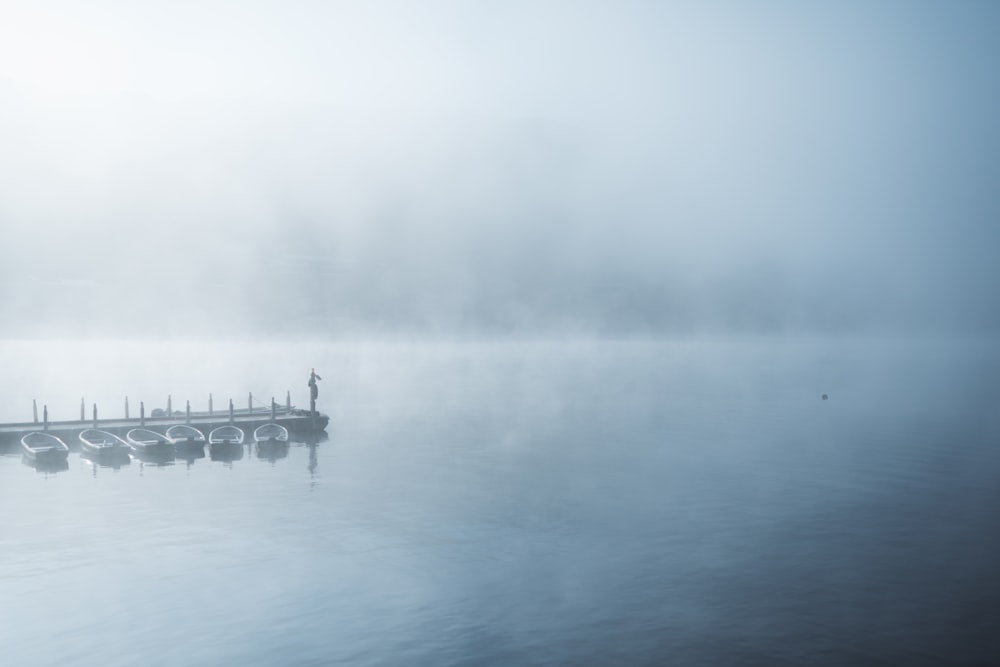 Cuerpo de agua con niebla