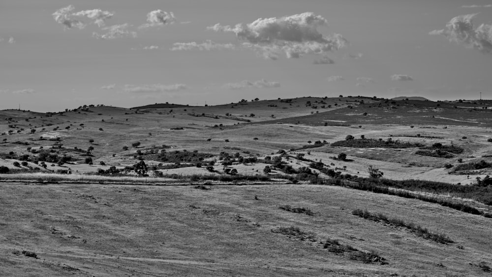 gente caminando en el campo cubierto de nieve bajo el cielo nublado durante el día