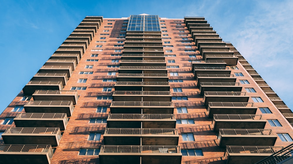 brown and blue concrete building