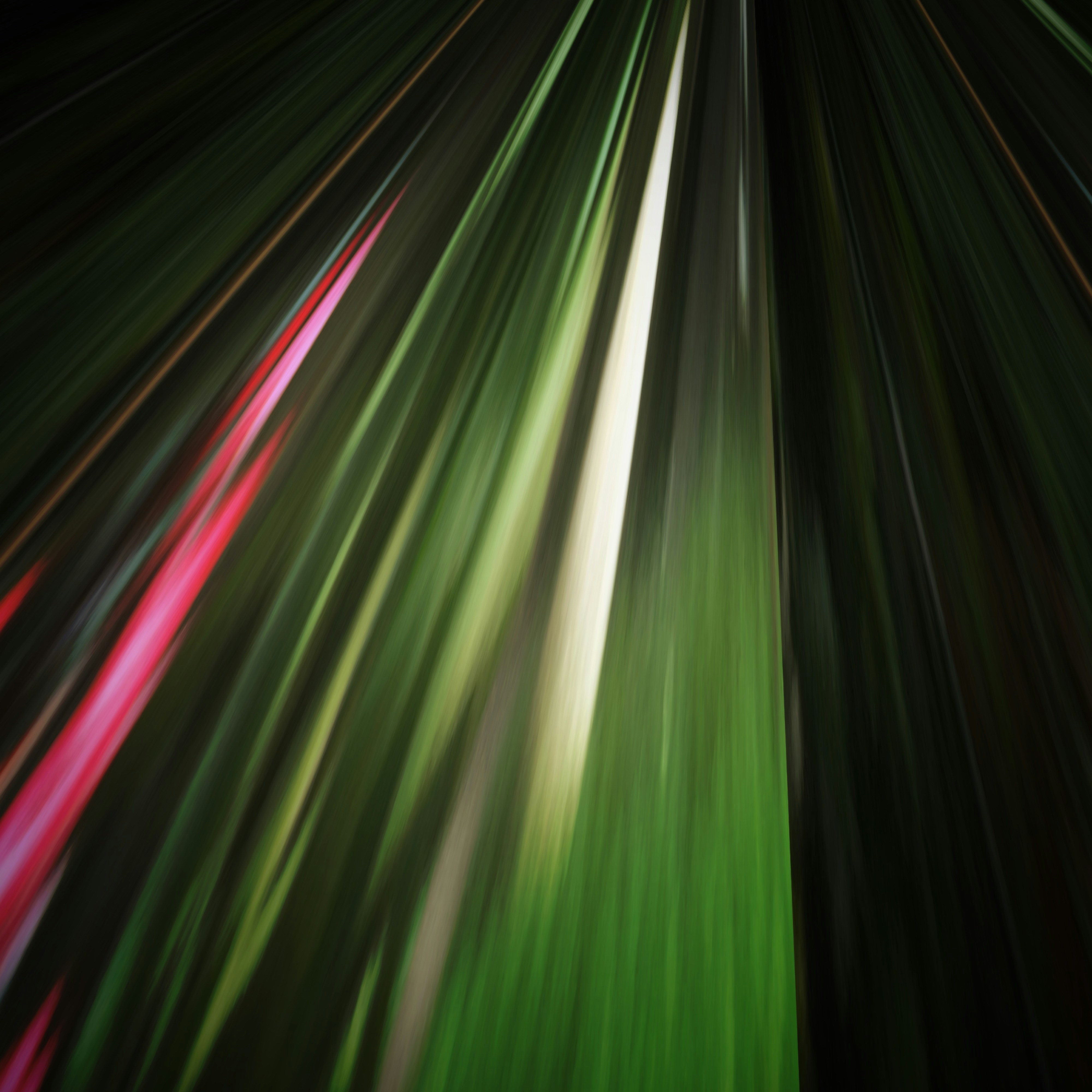 Photo by sunshinestudio82