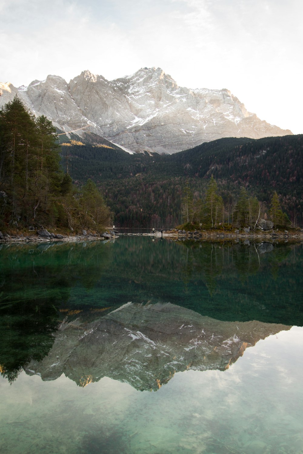 alberi verdi vicino al lago e montagna coperta di neve durante il giorno