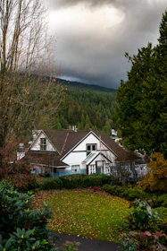 Cozy house nestled among tall, green trees under a clear sky.