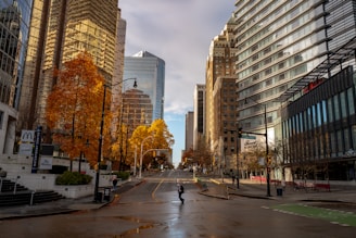 people walking on pedestrian lane near high rise buildings during daytime