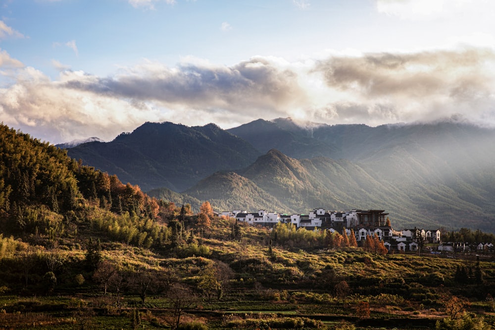 green and brown trees near mountain under white clouds during daytime