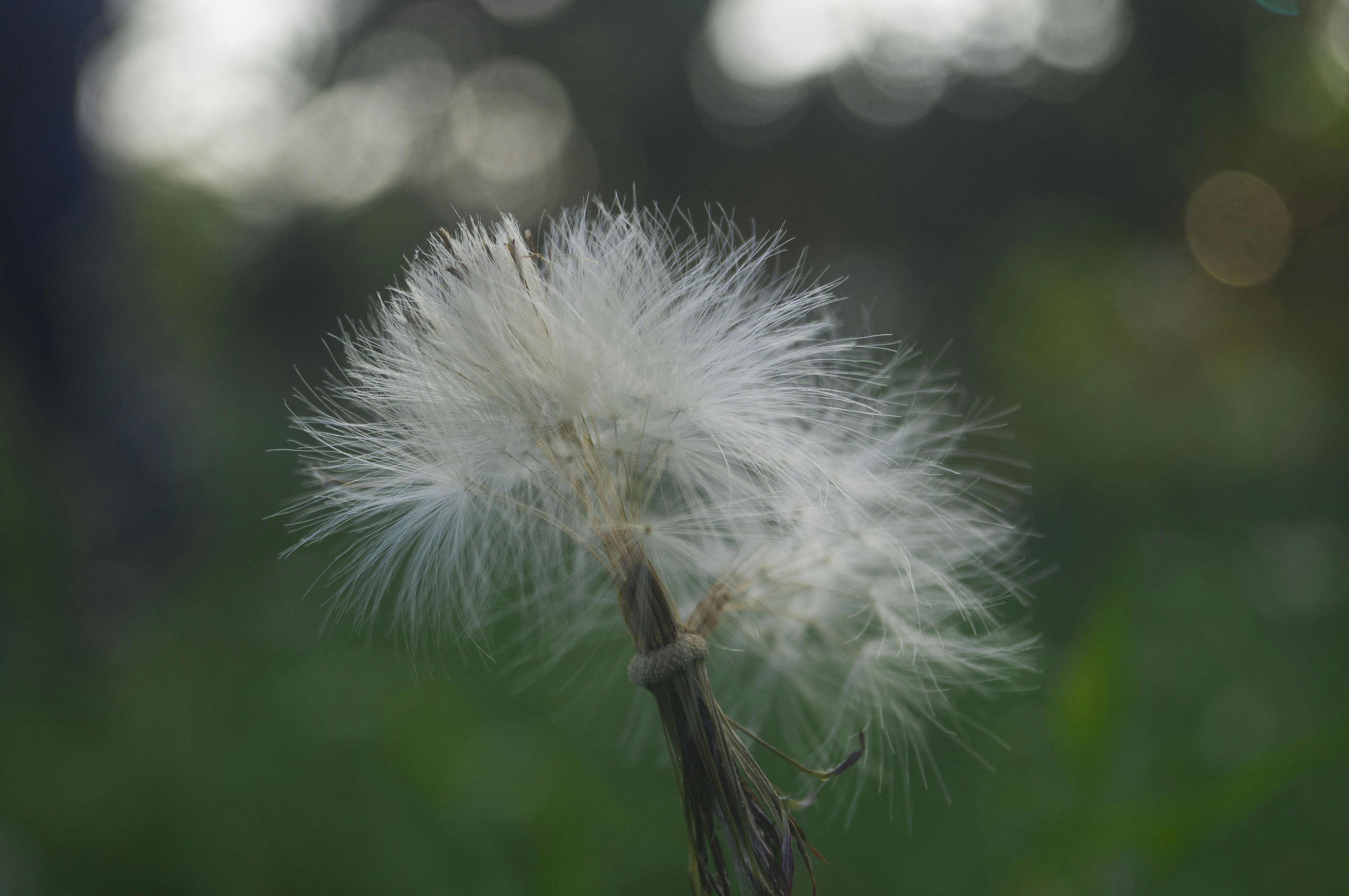 Photo by yosoyartmdez