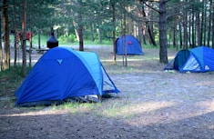blue dome tent on green grass field during daytime