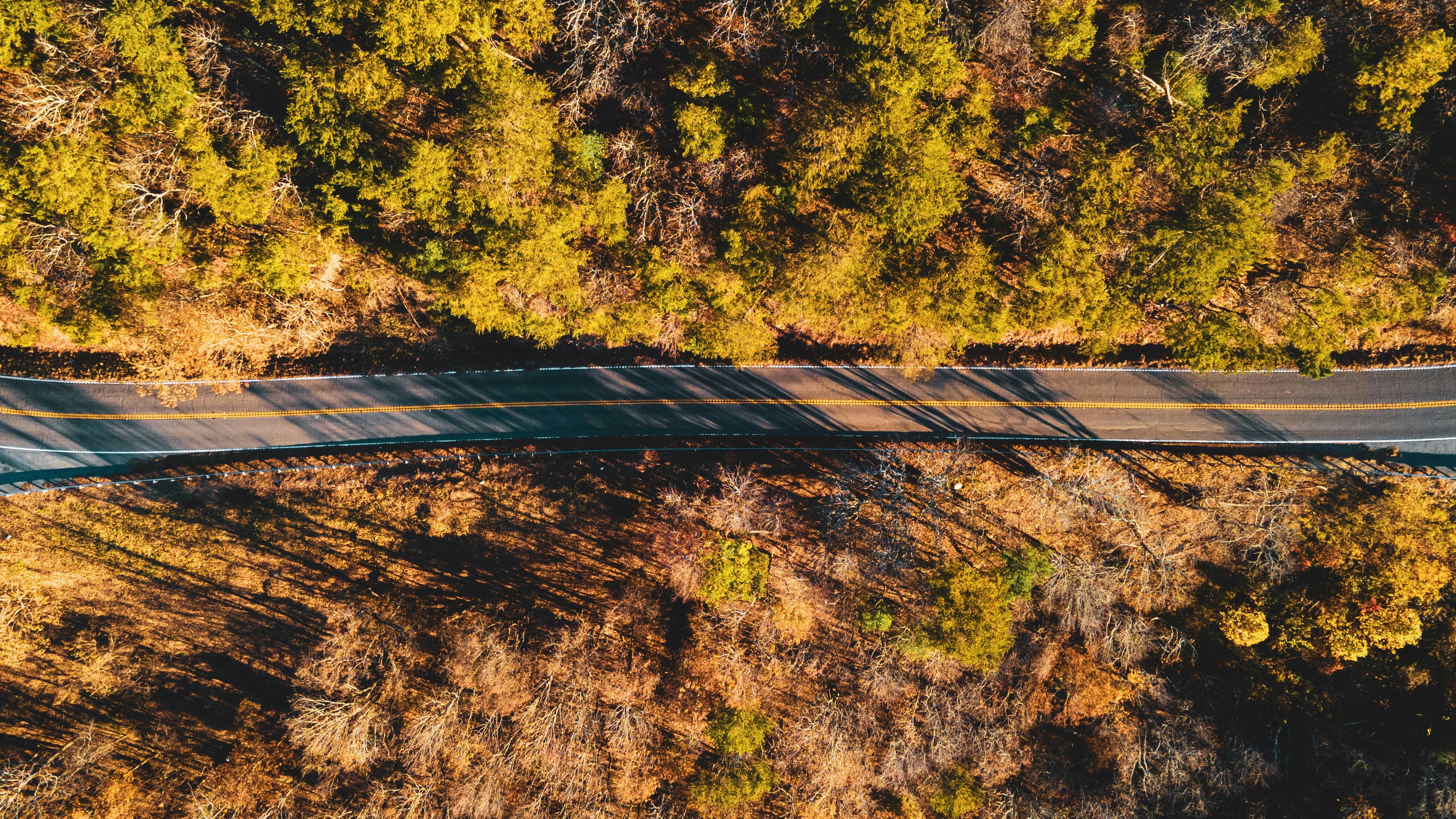 Photo by samdellaporta