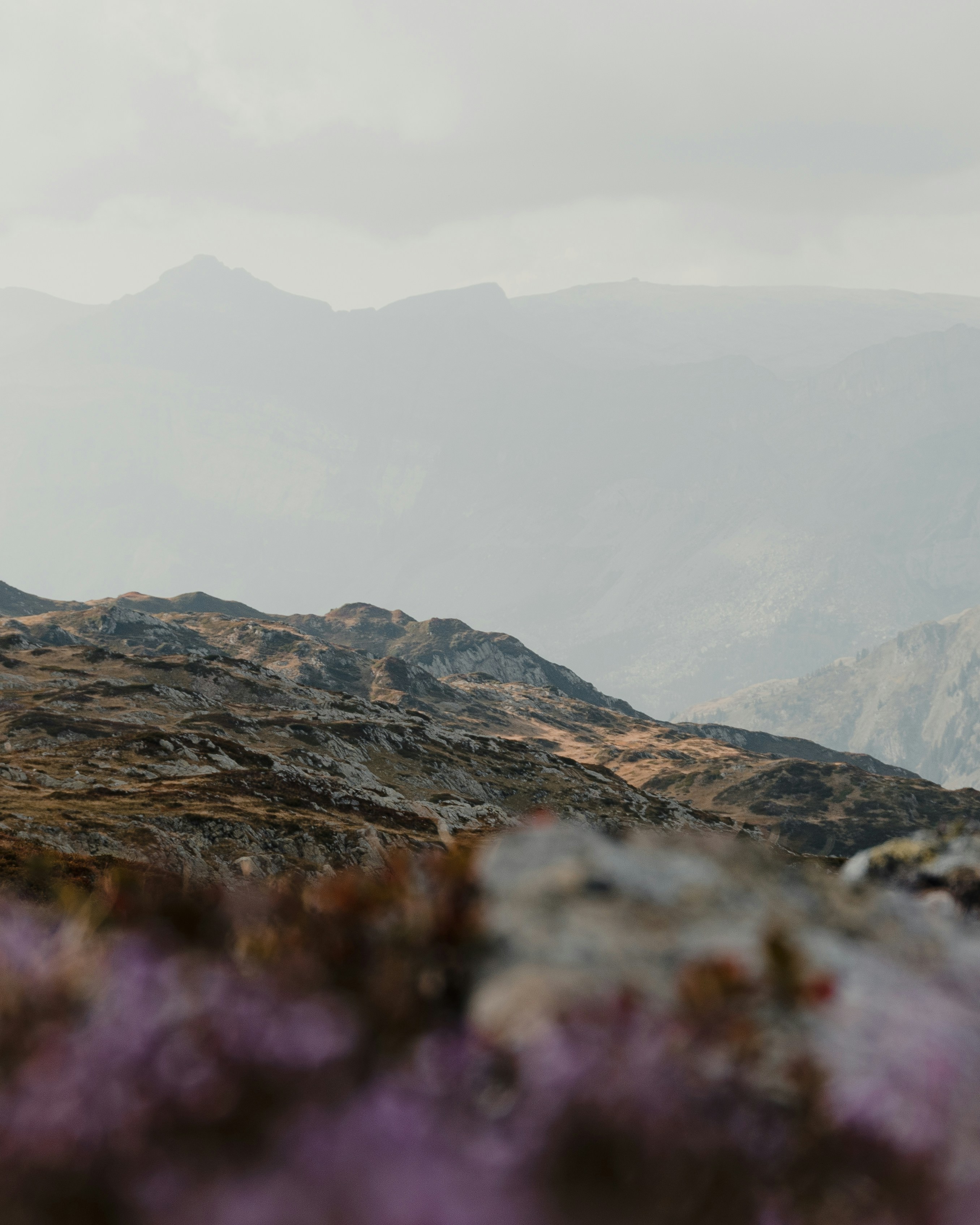 Photo by michielannaert