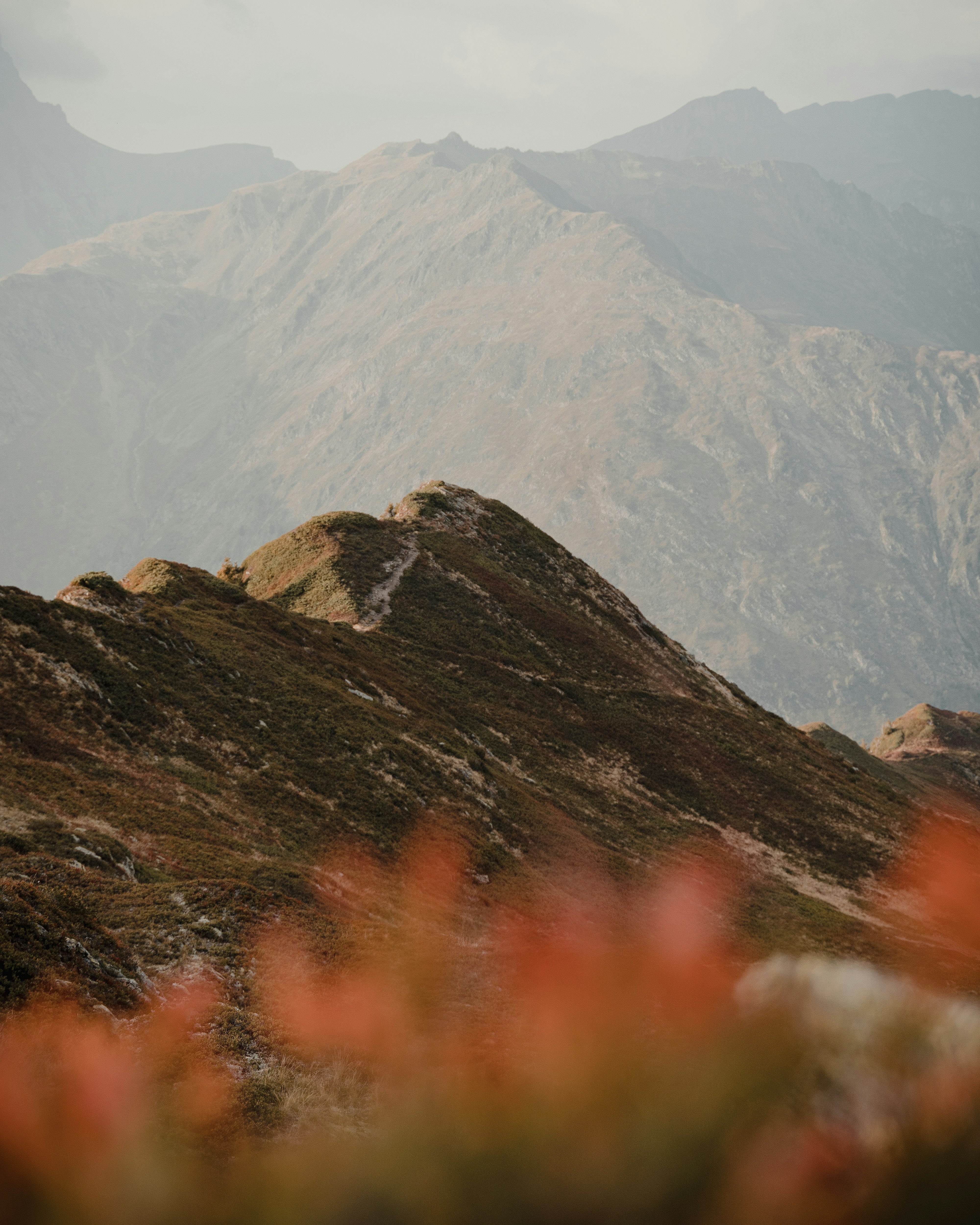 Photo by michielannaert