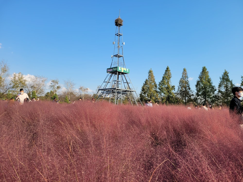 black metal tower surrounded by brown grass field