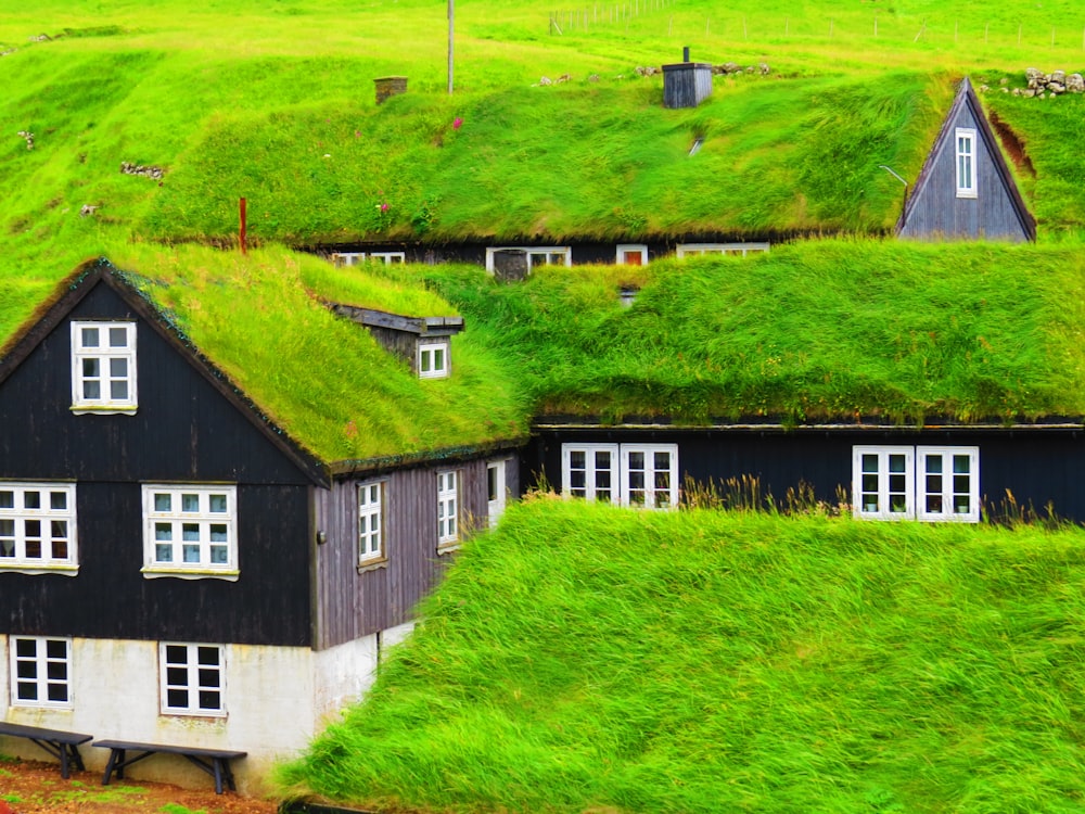 푸른 잔디밭에 있는 흰색과 검은색 집