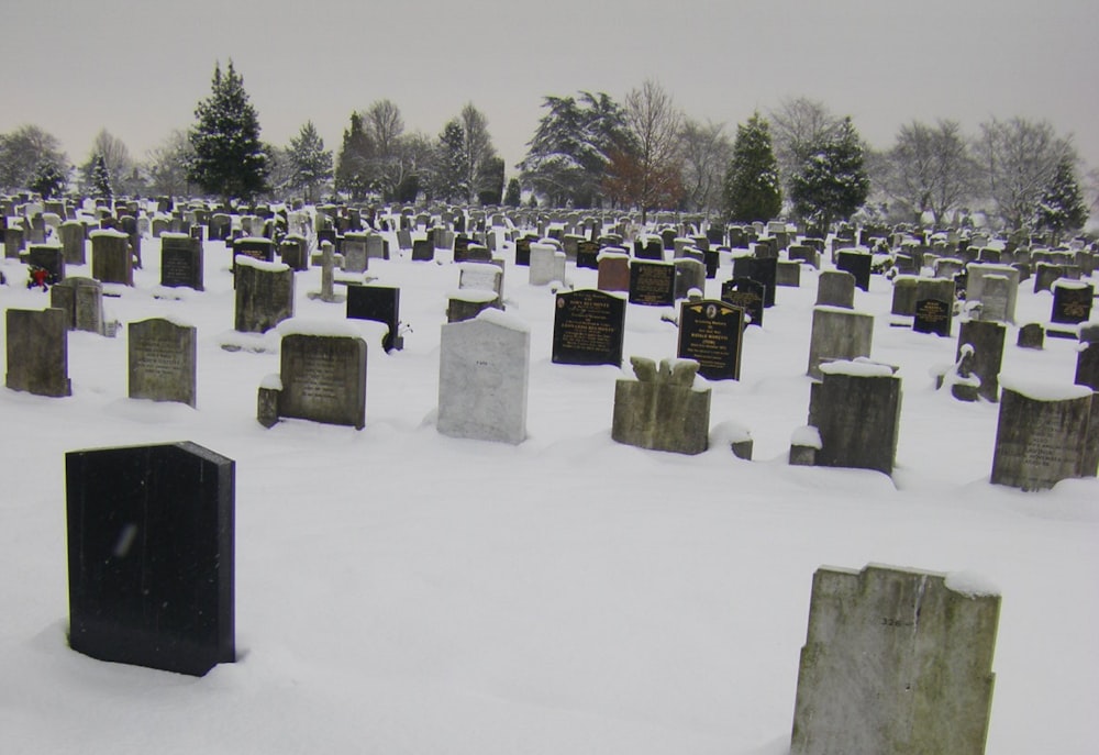 gray concrete blocks on snow covered ground