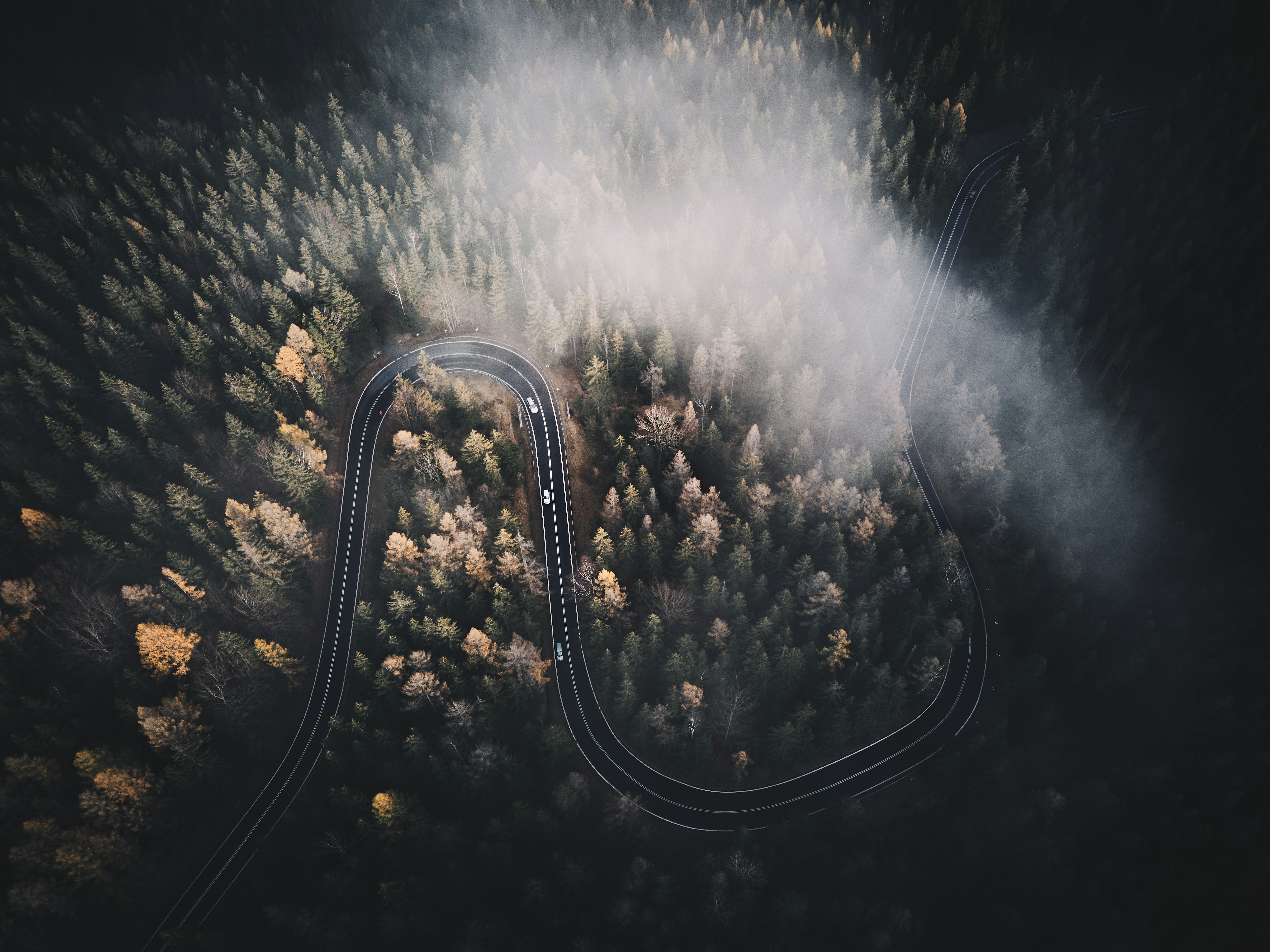 Photo by apphex