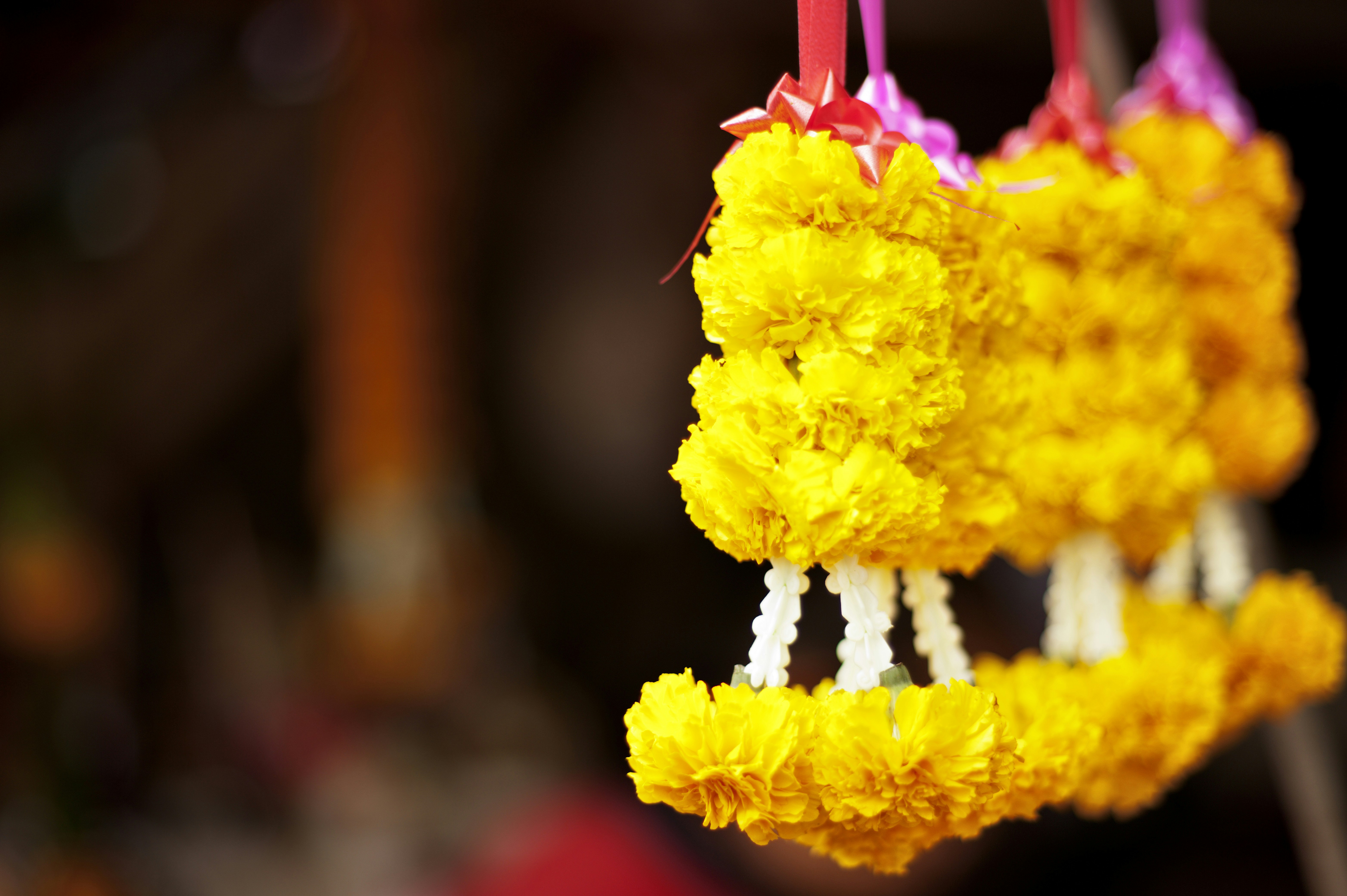 Photo by photographycoursenet