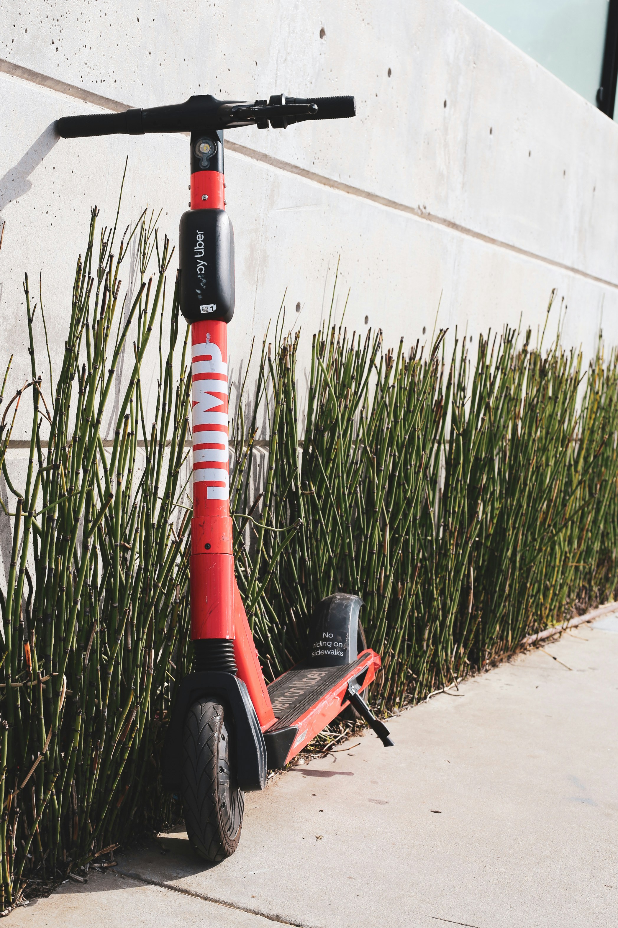 Photo by studiojude