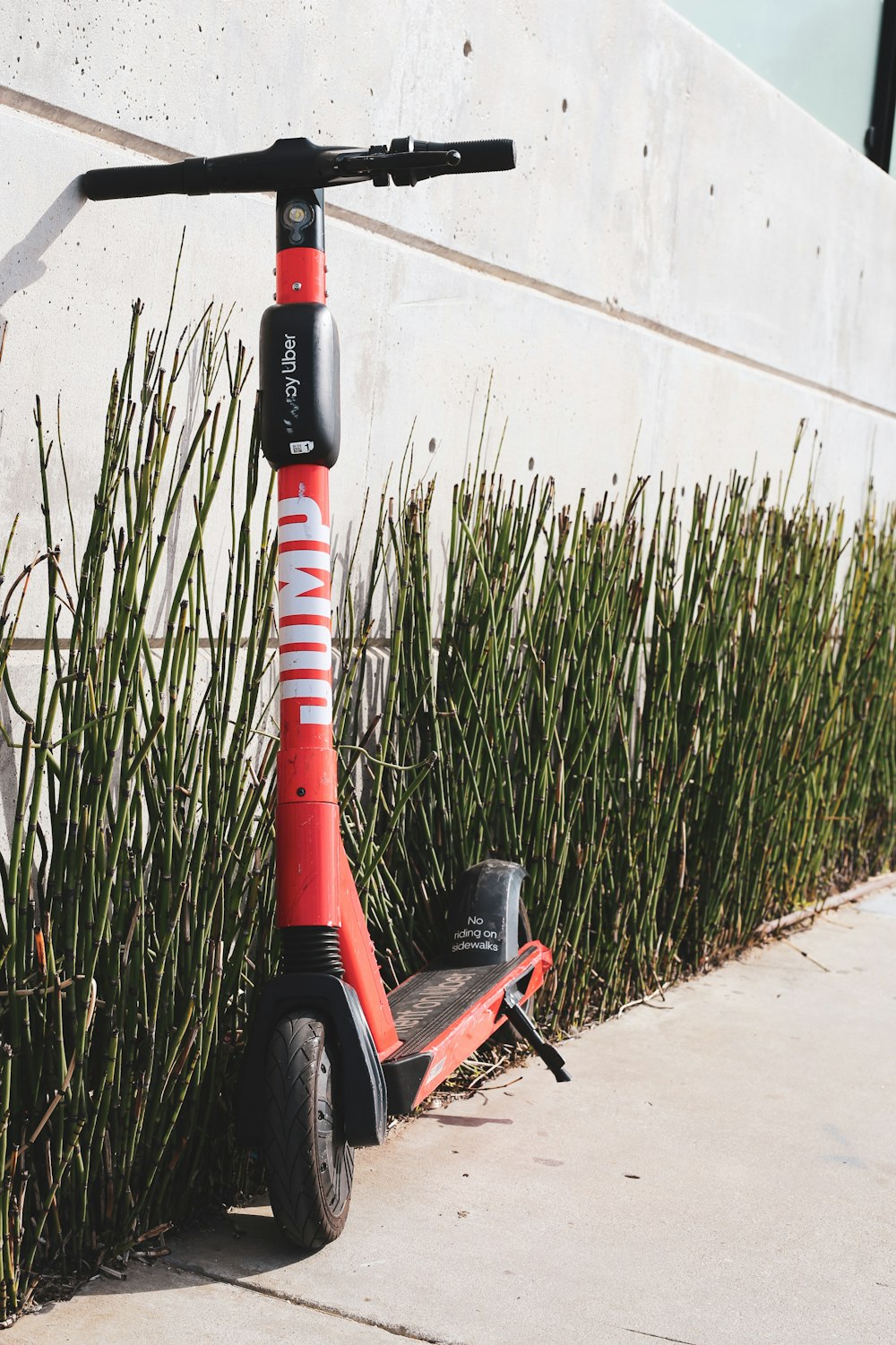 red and black bicycle on road