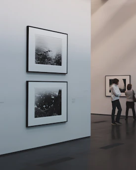 Abstract Brazilian art pieces displayed in a minimalist gallery with soft lighting