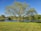 green grass field with trees and body of water