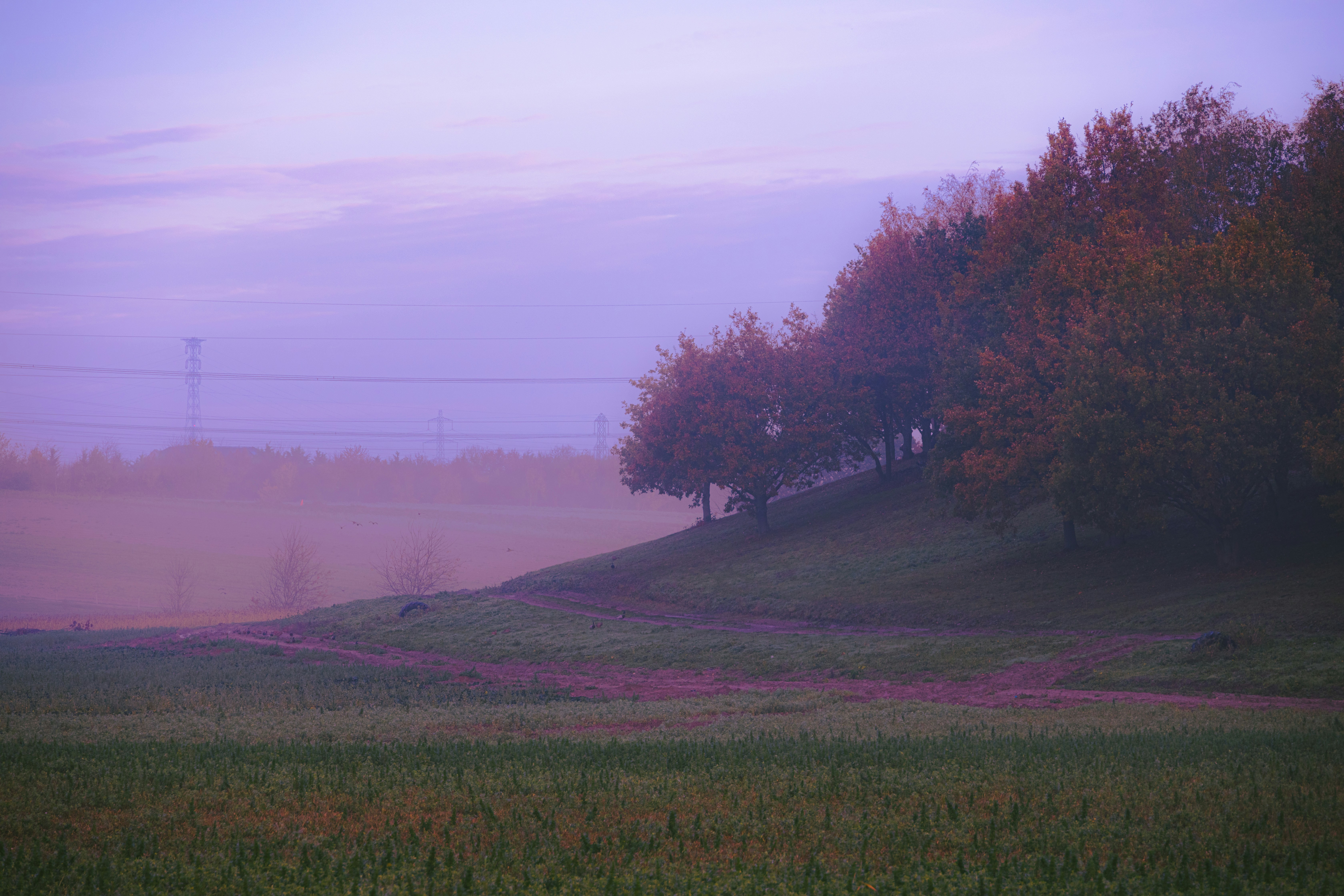 green grass field near trees under white sky during daytime