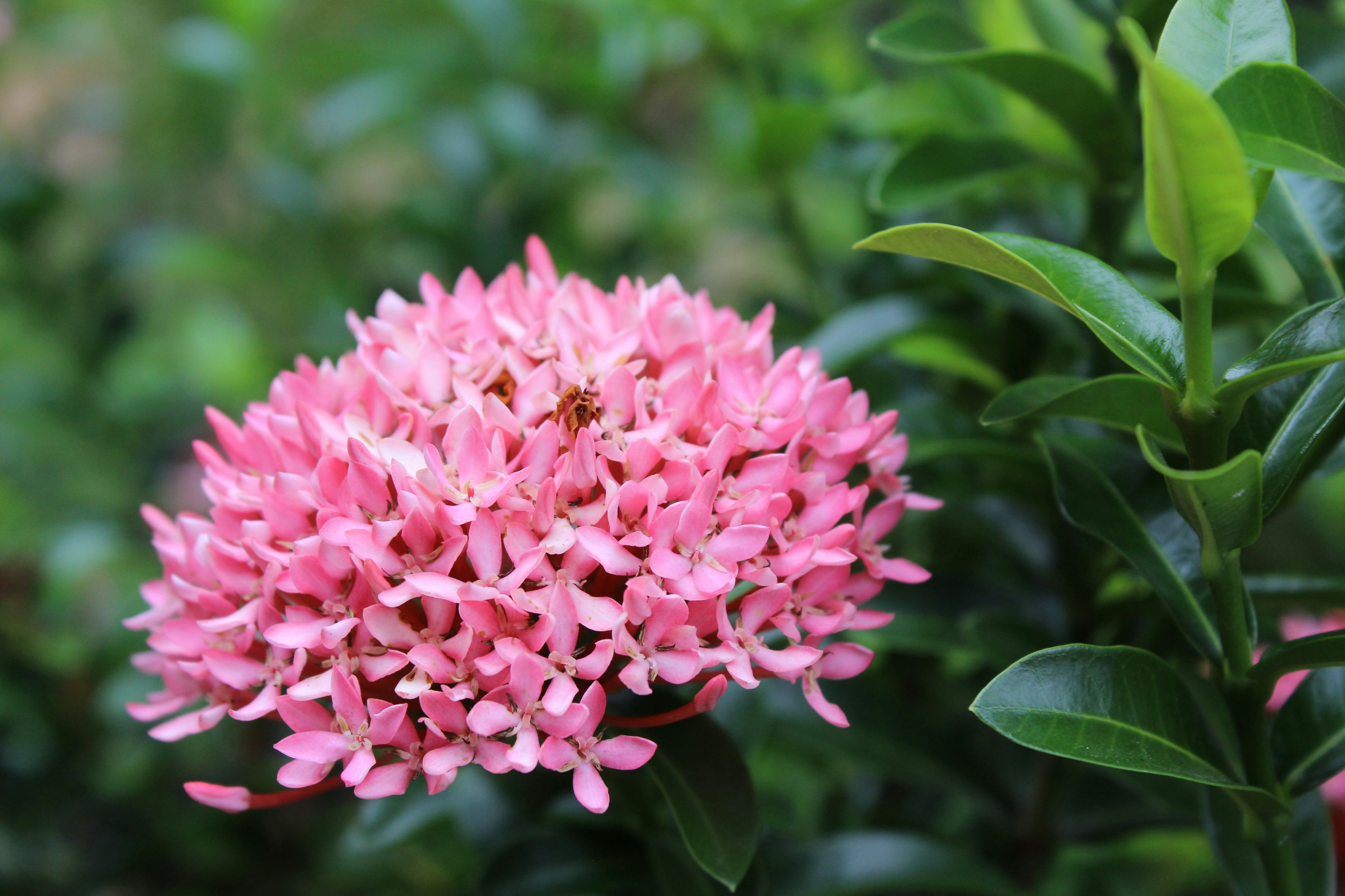 Photo by adlinafarisyaa