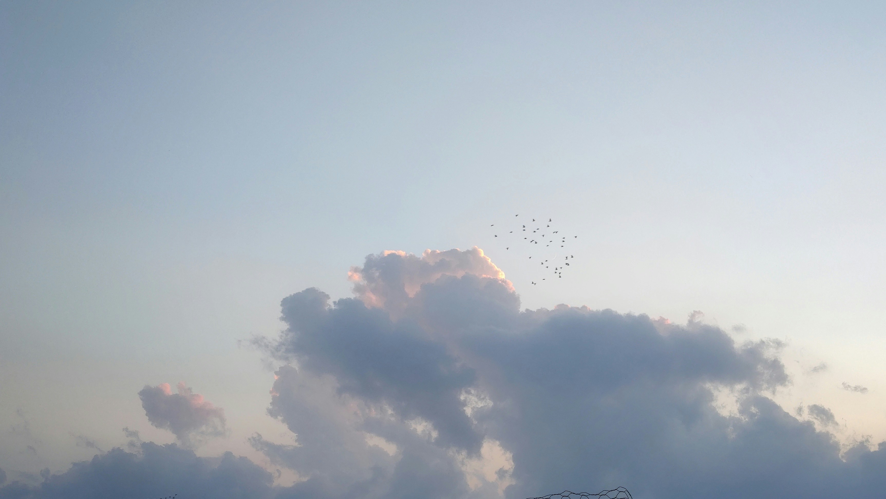 Photo by dark_lord007