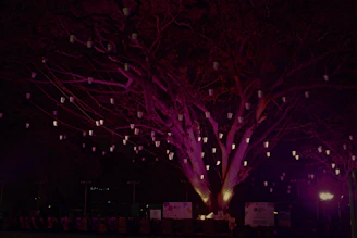 Elegant elven lanterns hanging from twisted branches, casting warm golden glimmers.