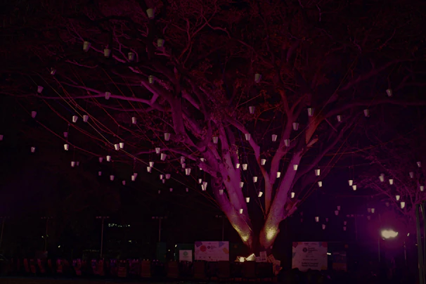 Elegant elven lanterns hanging from twisted branches, casting warm golden glimmers.
