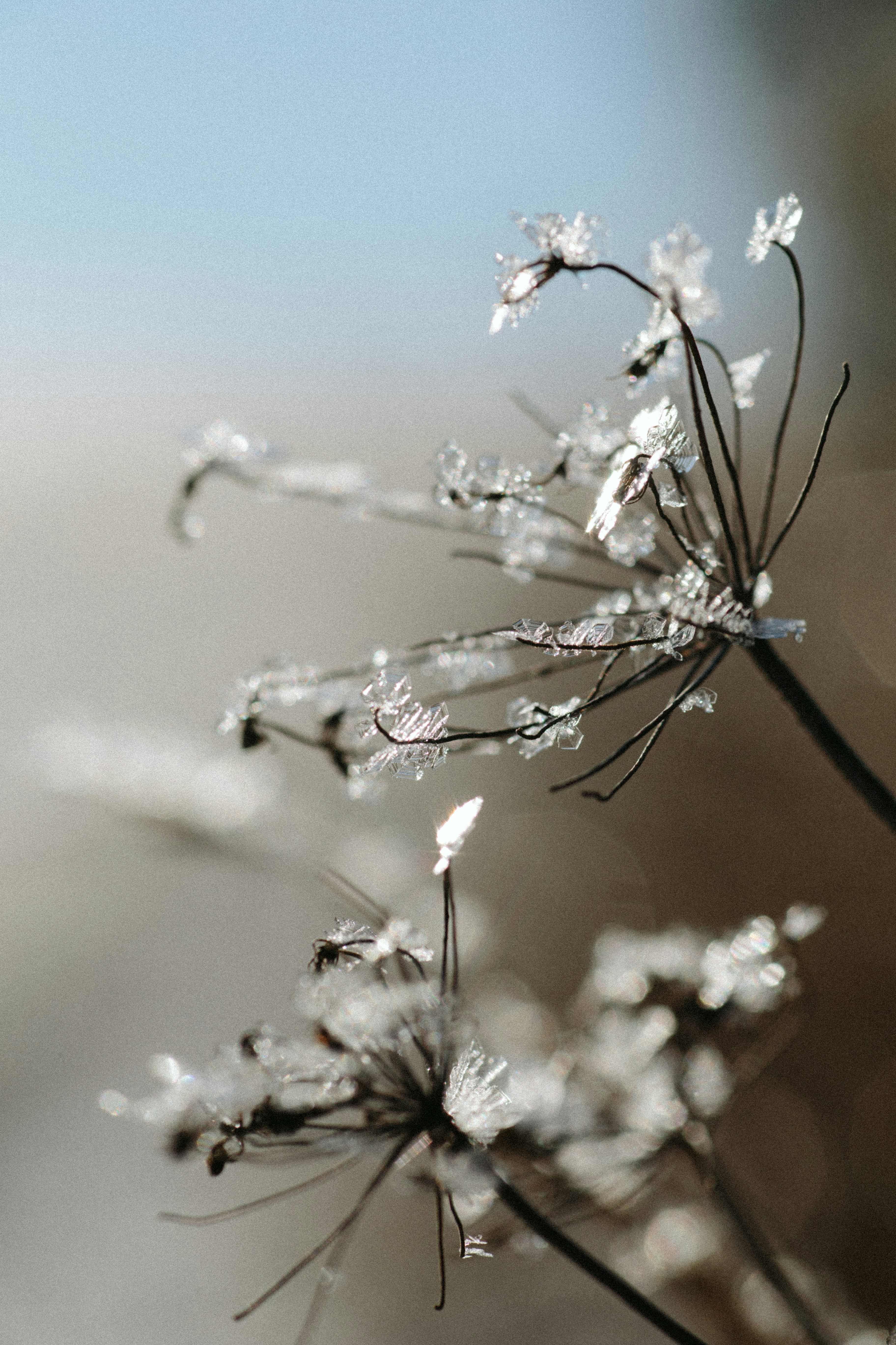 Photo by kkalerry