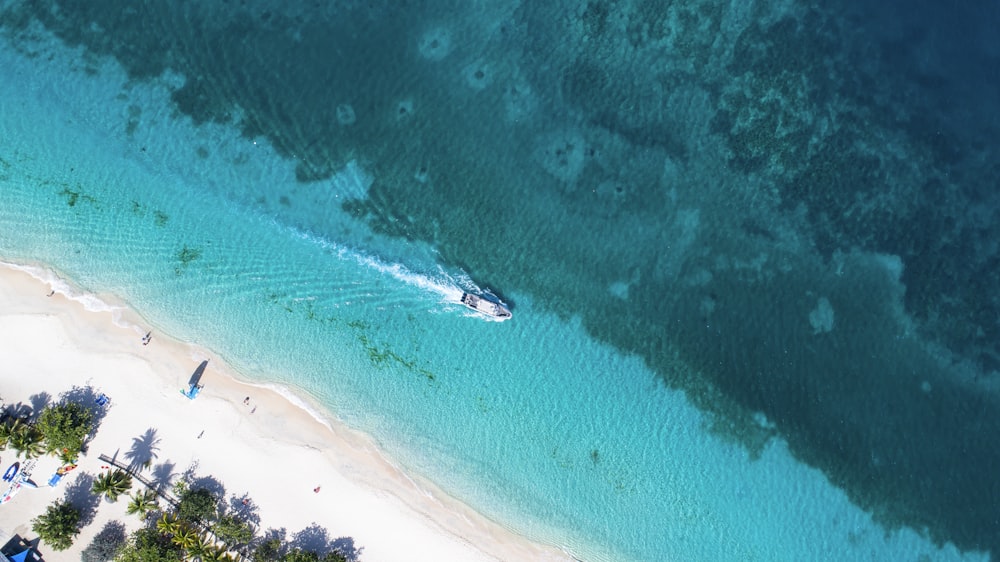 aerial view of boat on sea during daytime