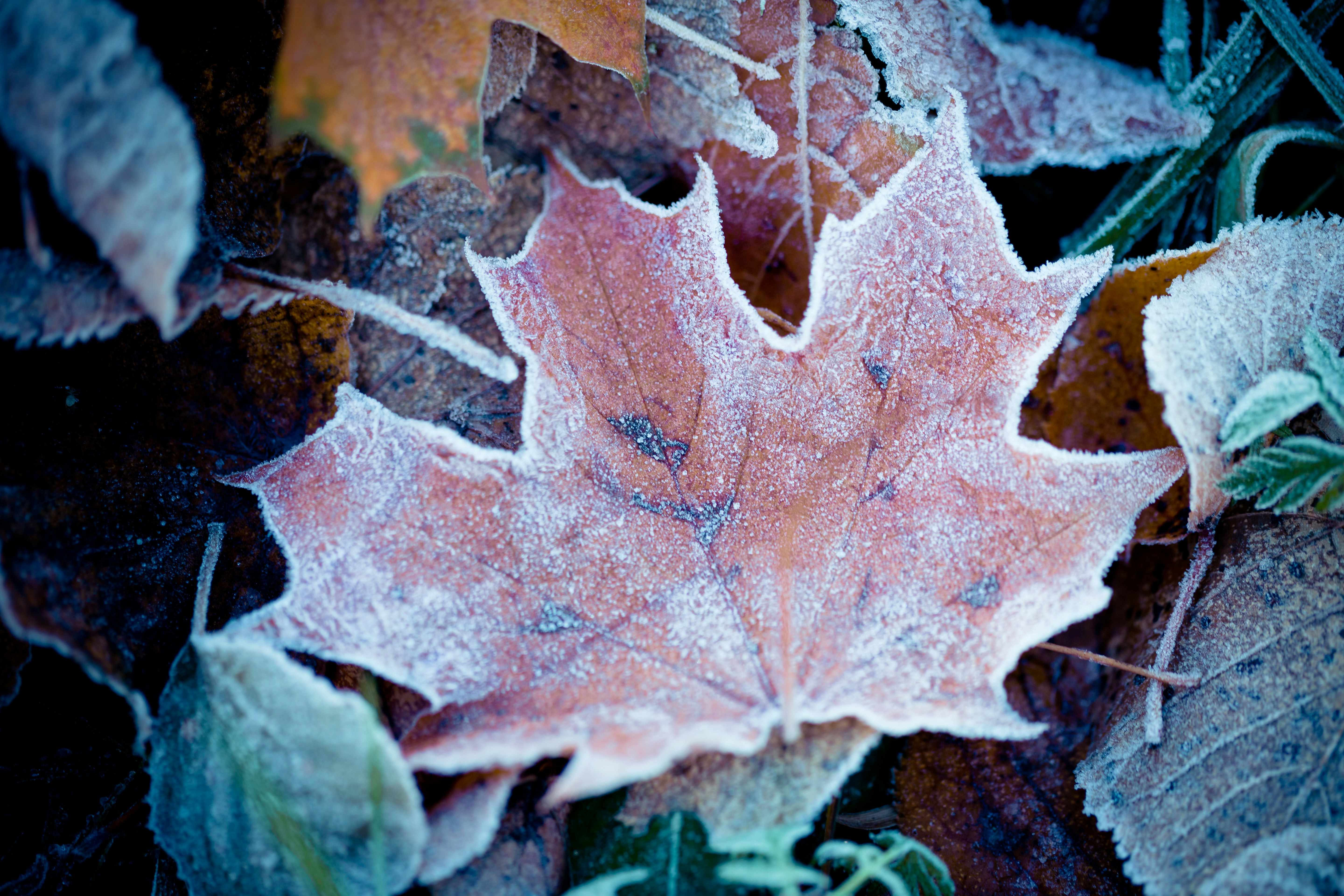 Photo by raimondklavins