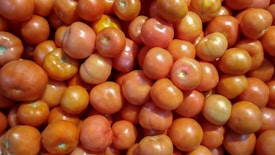 A large pile of ripe, red tomatoes closely packed together, varying slightly in size and shade. The tomatoes have a glossy appearance and some imperfections common in natural produce.