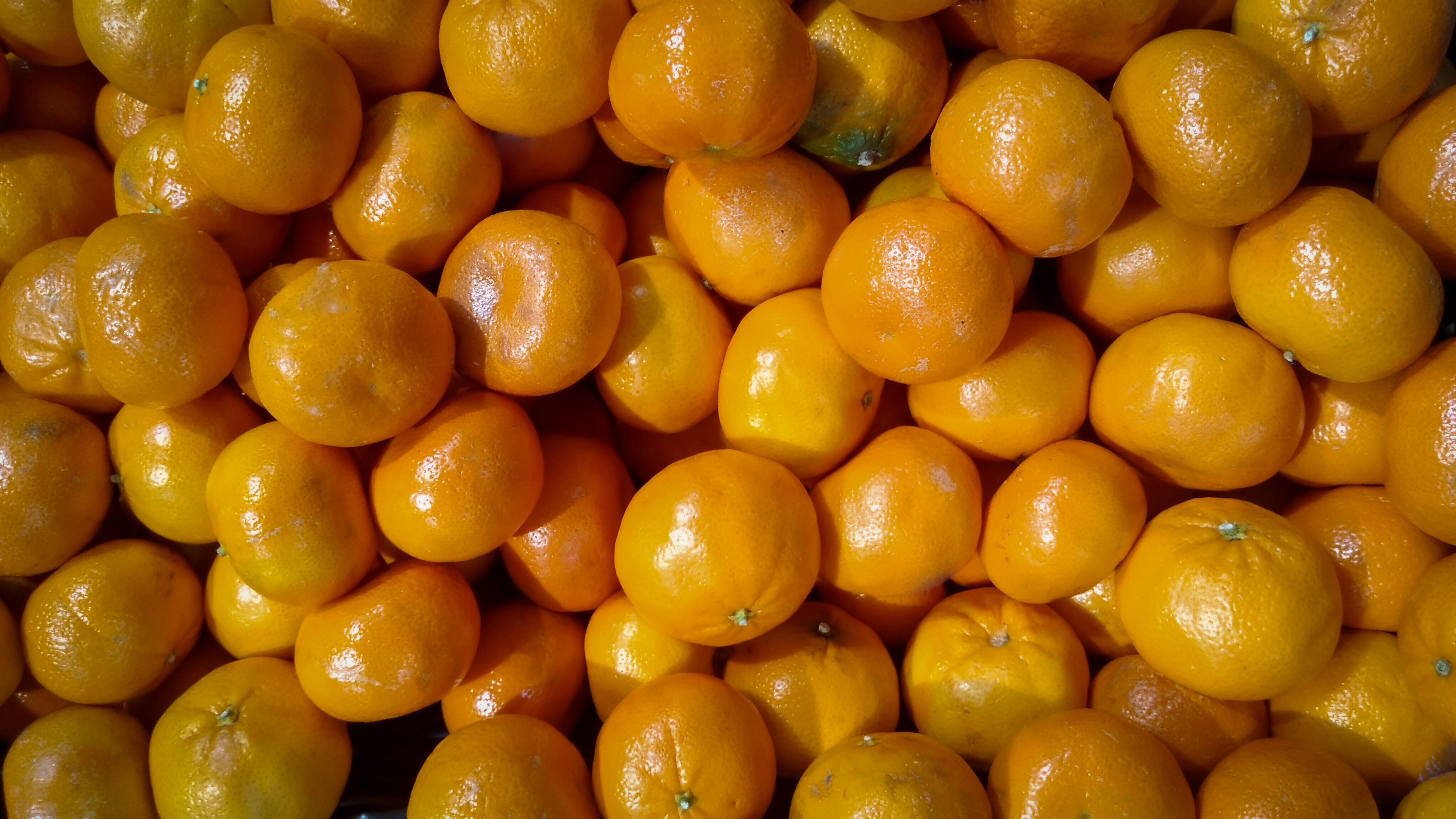 Photo by mhassouna931