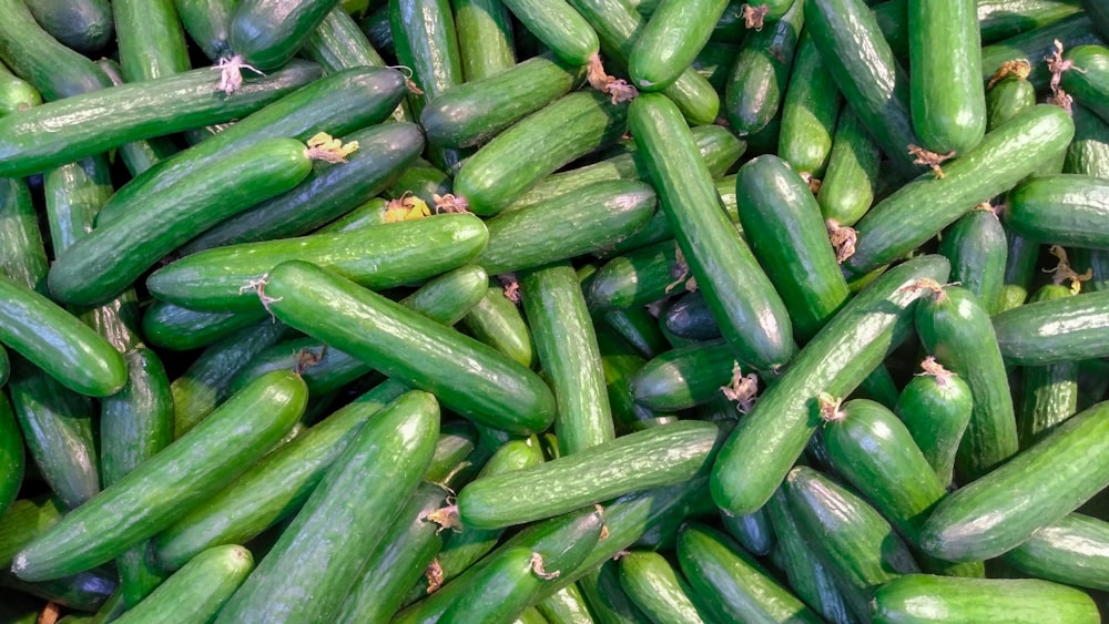 green and white vegetable lot