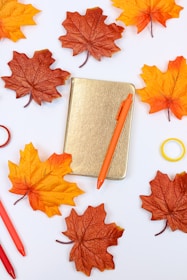 brown leather case with white round ring
