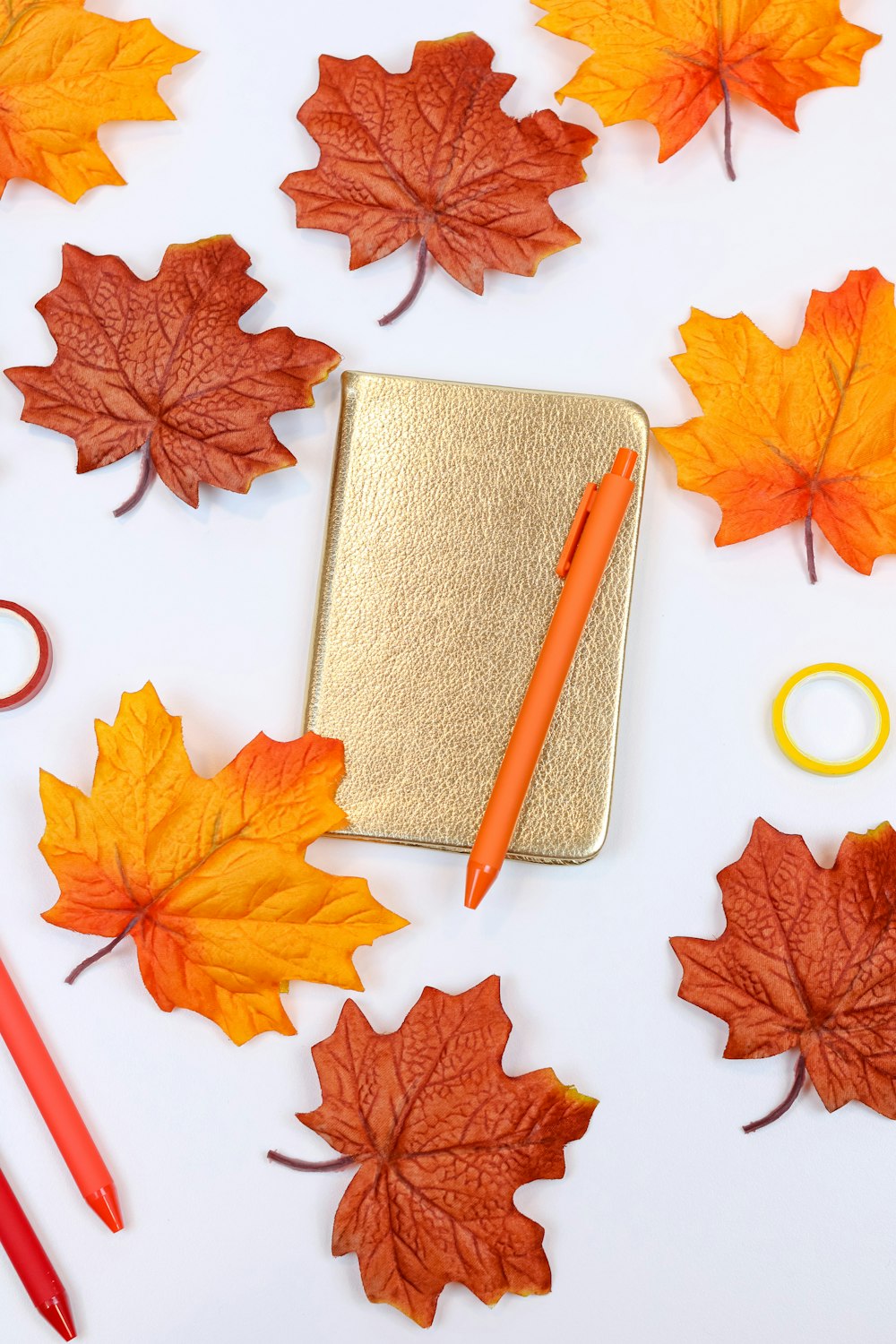 brown leather case with white round ring