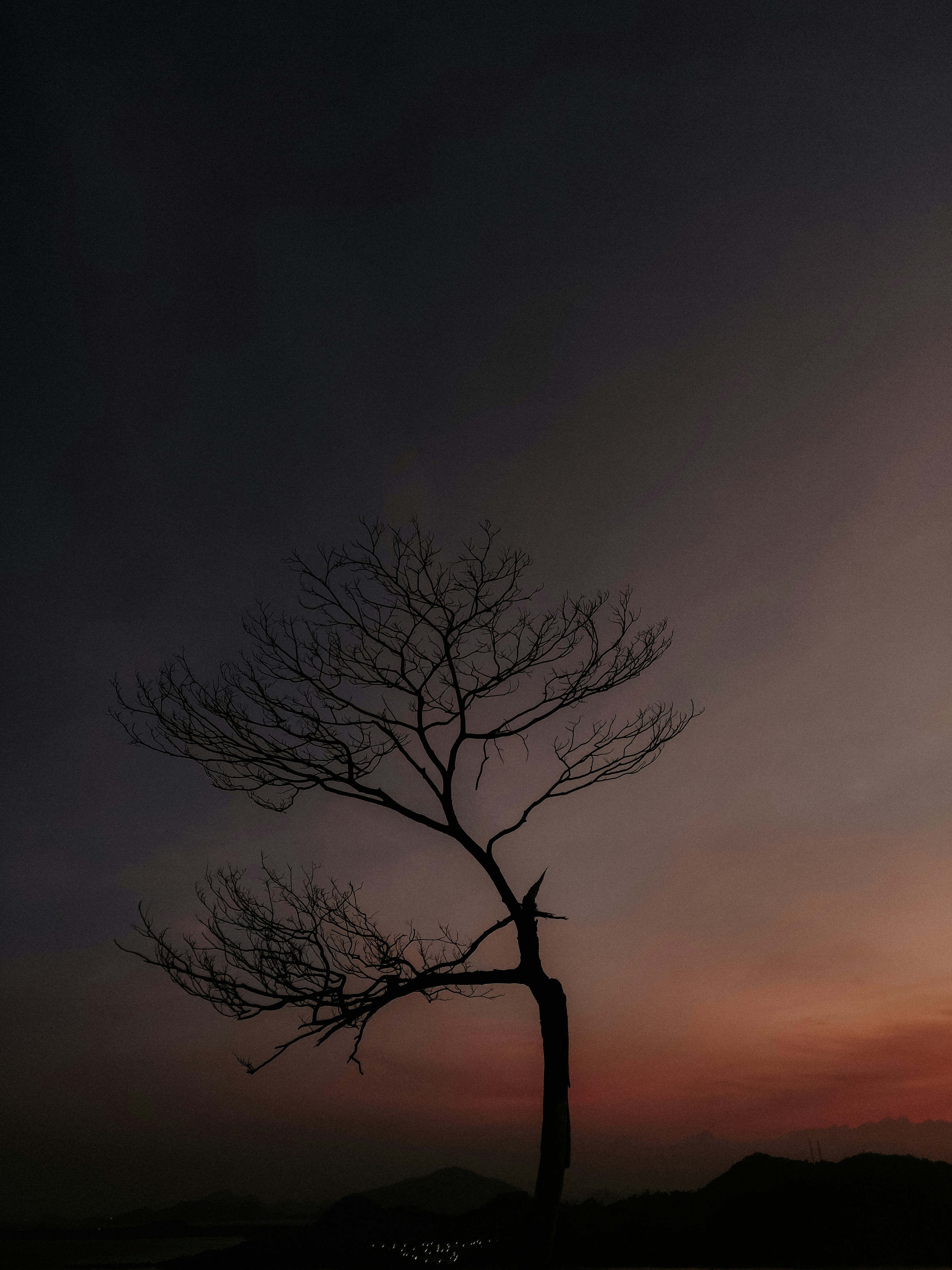 Photo by jenniferhuanng