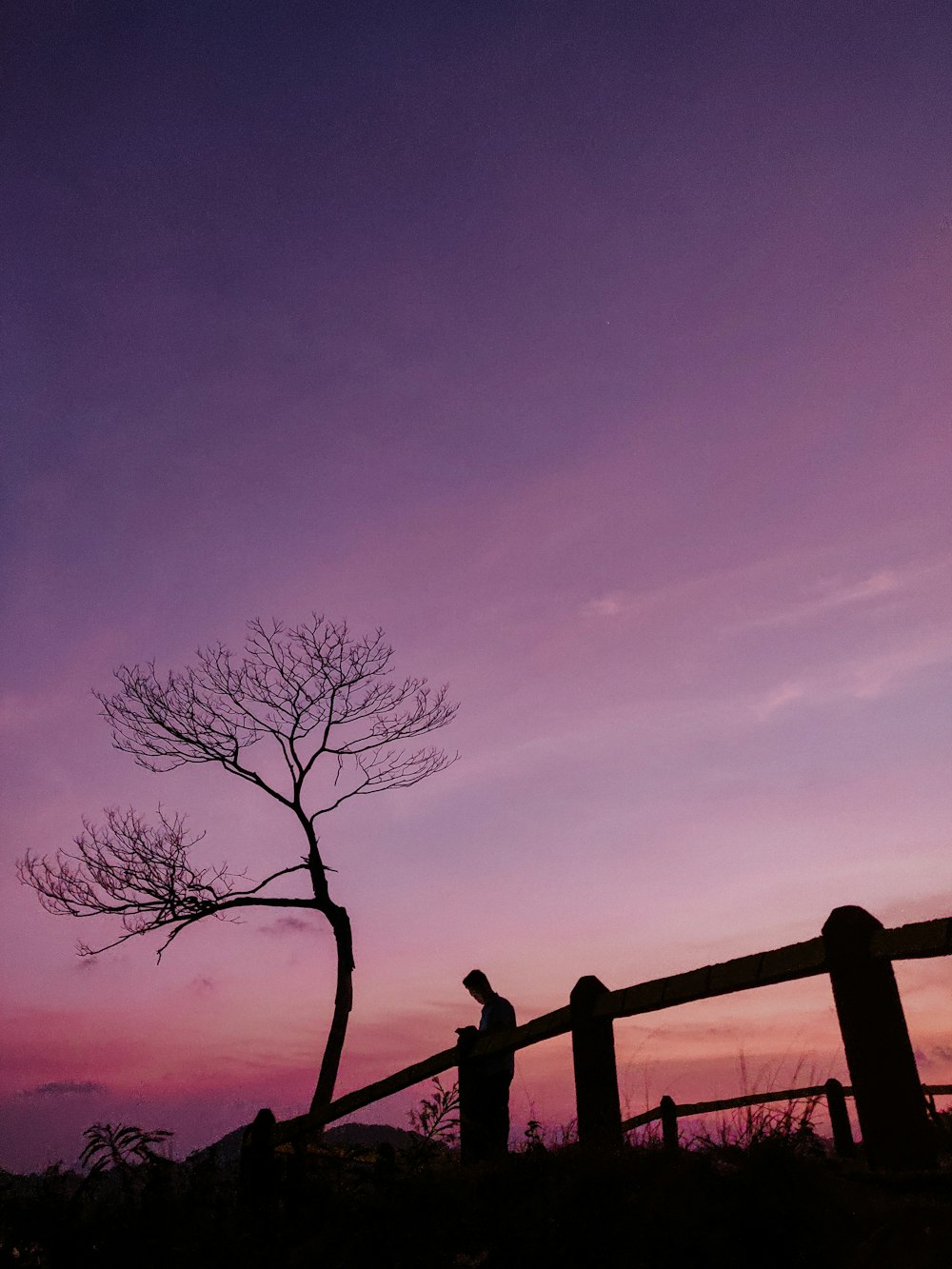 leafless tree under cloudy sky during daytime