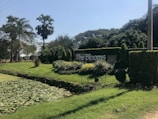 A garden scene featuring neatly trimmed hedges, a sign reading 'The Blooms', palm trees, and a pond with water lilies. Bright sunlight casts shadows on the grass-covered landscape.