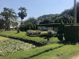 A garden scene featuring neatly trimmed hedges, a sign reading 'The Blooms', palm trees, and a pond with water lilies. Bright sunlight casts shadows on the grass-covered landscape.