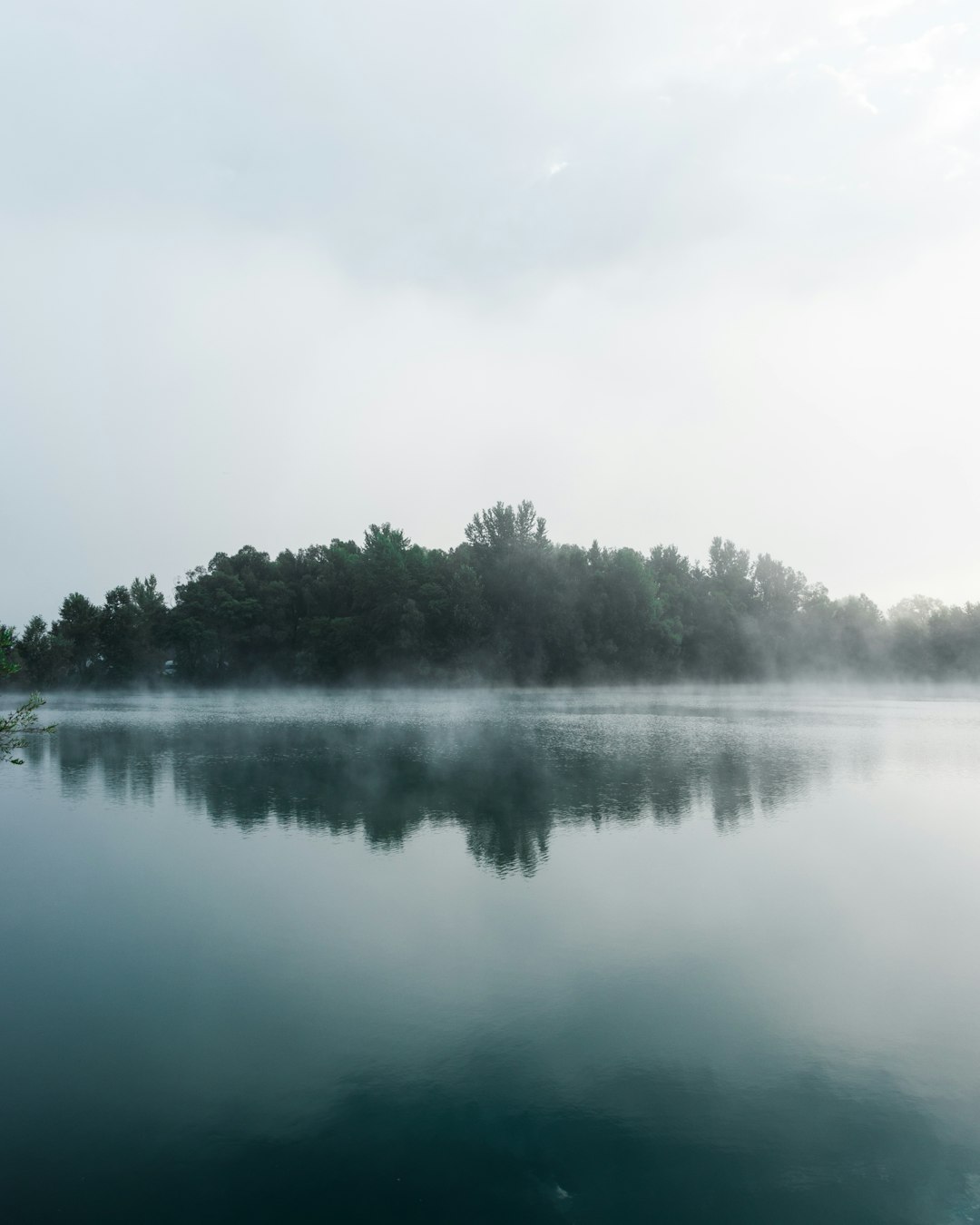 green trees beside lake under white sky during daytime