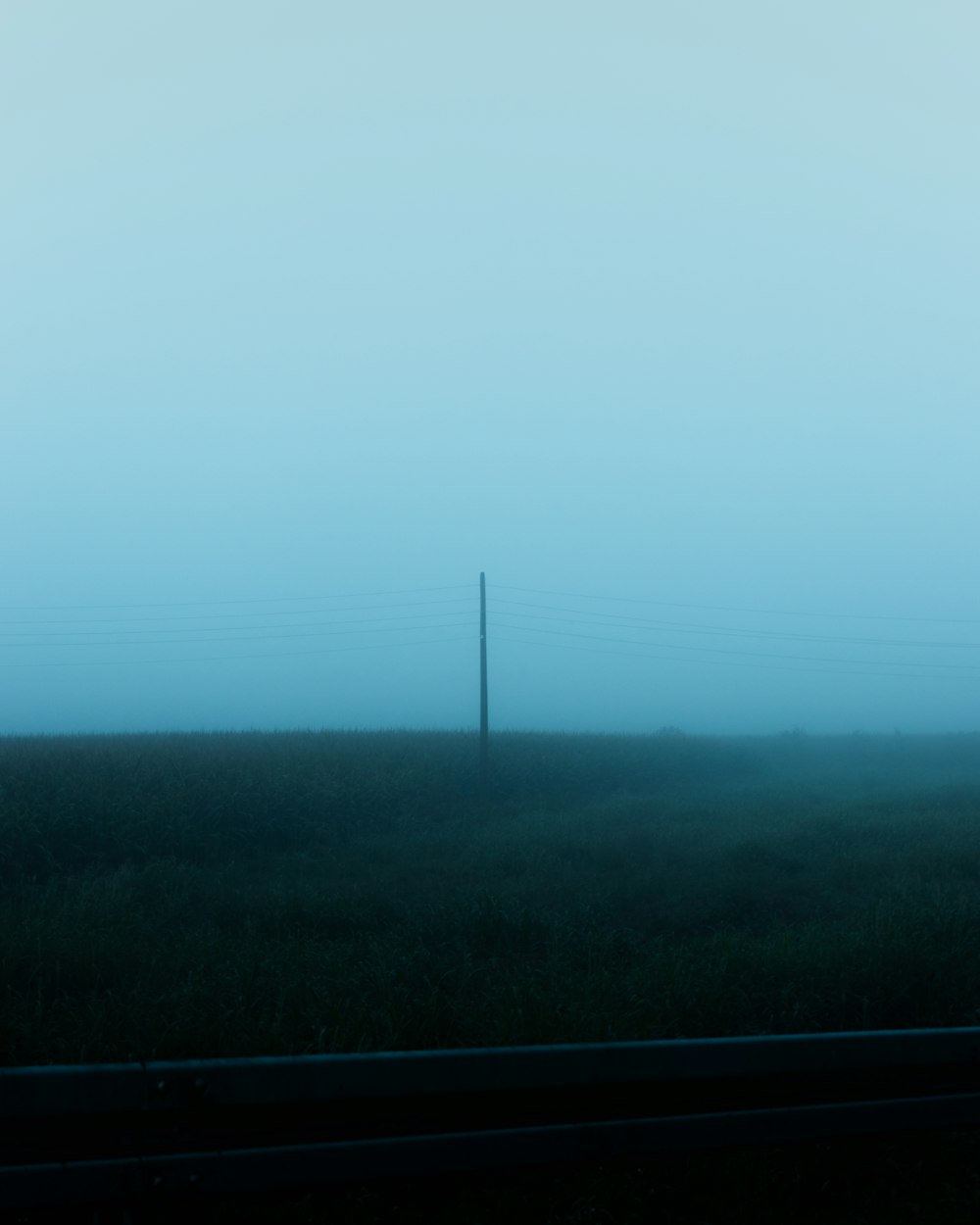 green grass field under white sky