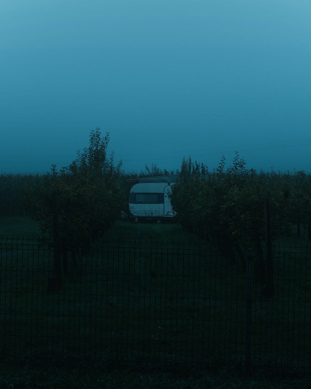 white car parked near green trees during daytime