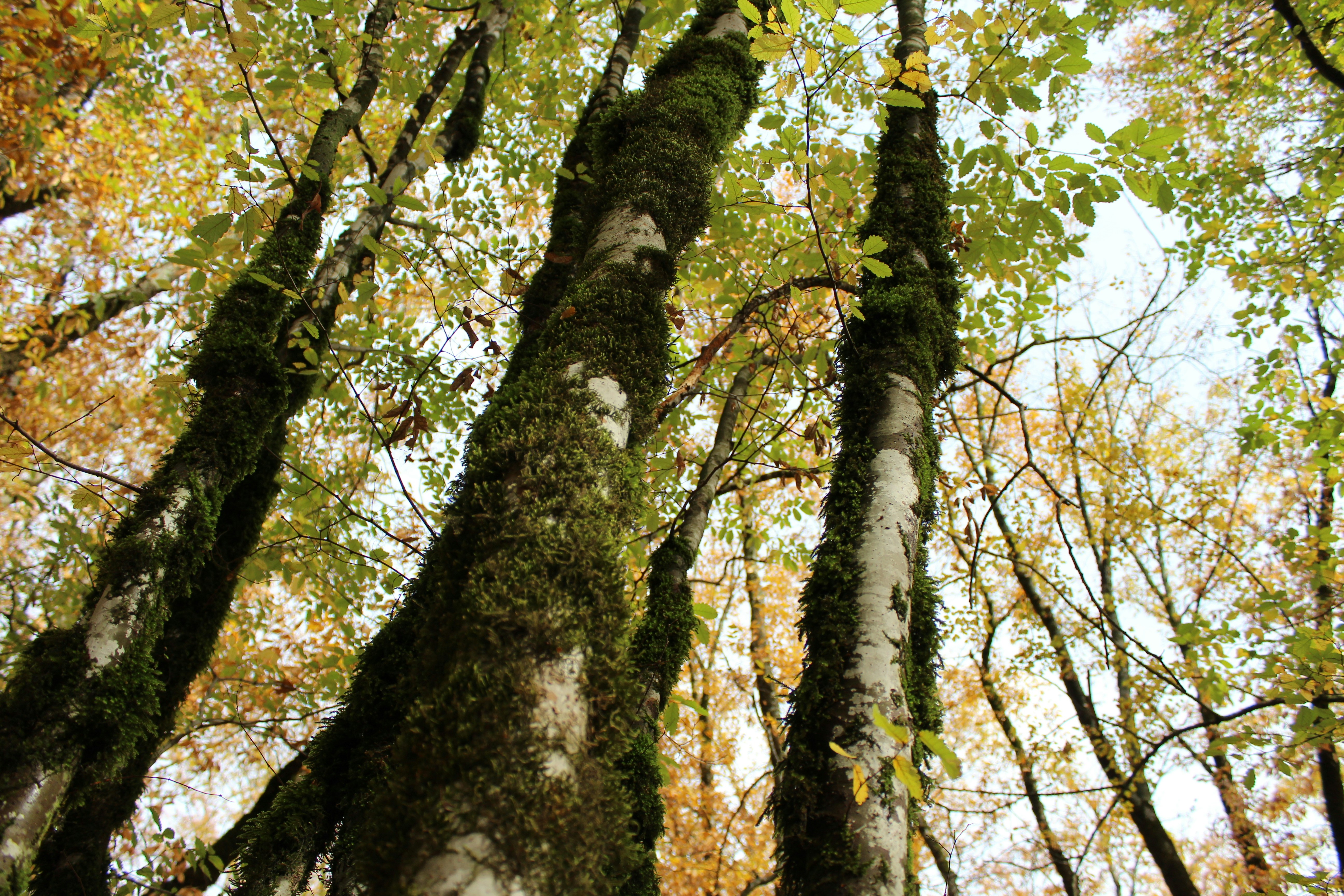 Photo by niloofar_b1991