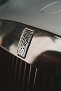 silver and black car emblem
