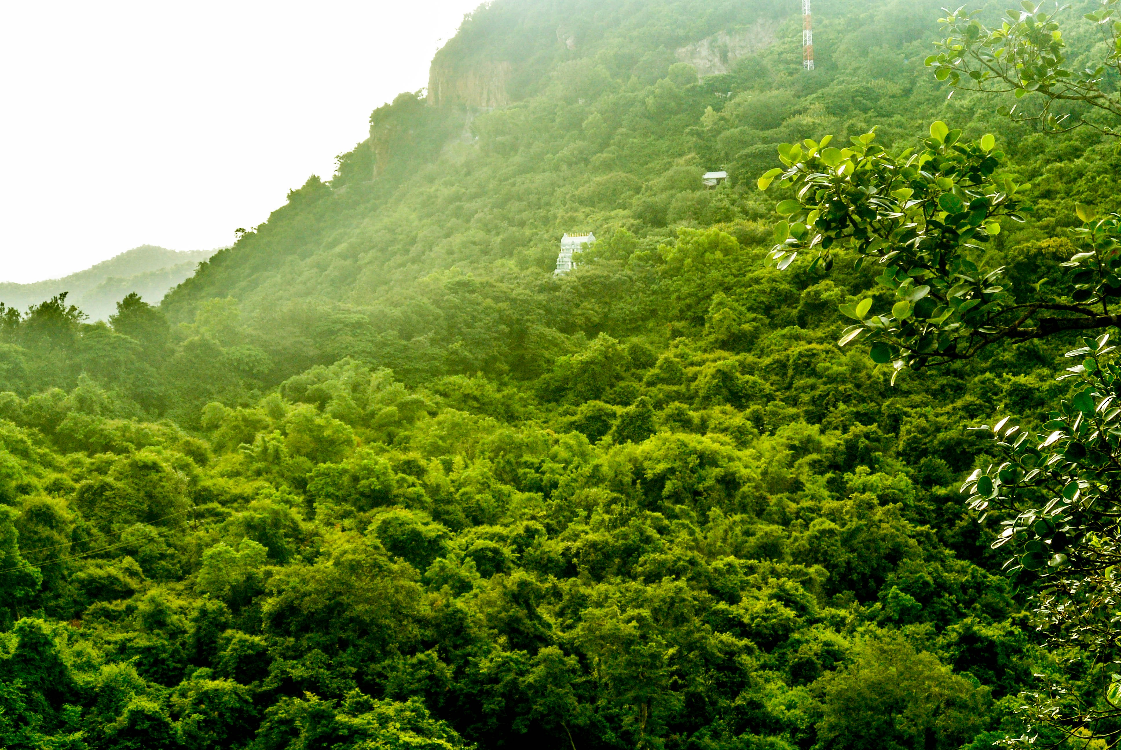 Photo by udaykiran995