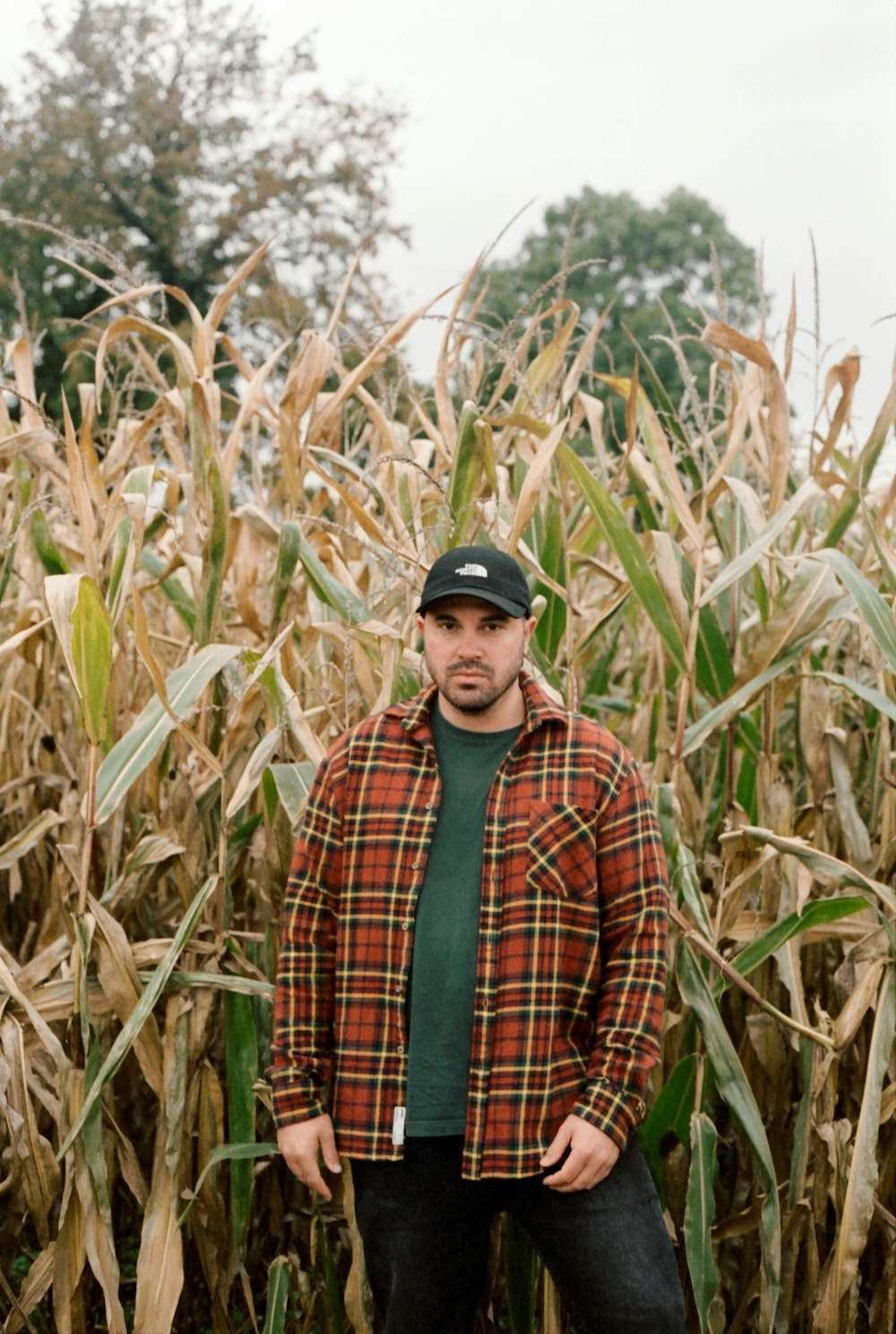 man in red and black plaid dress shirt standing in corn field during daytime