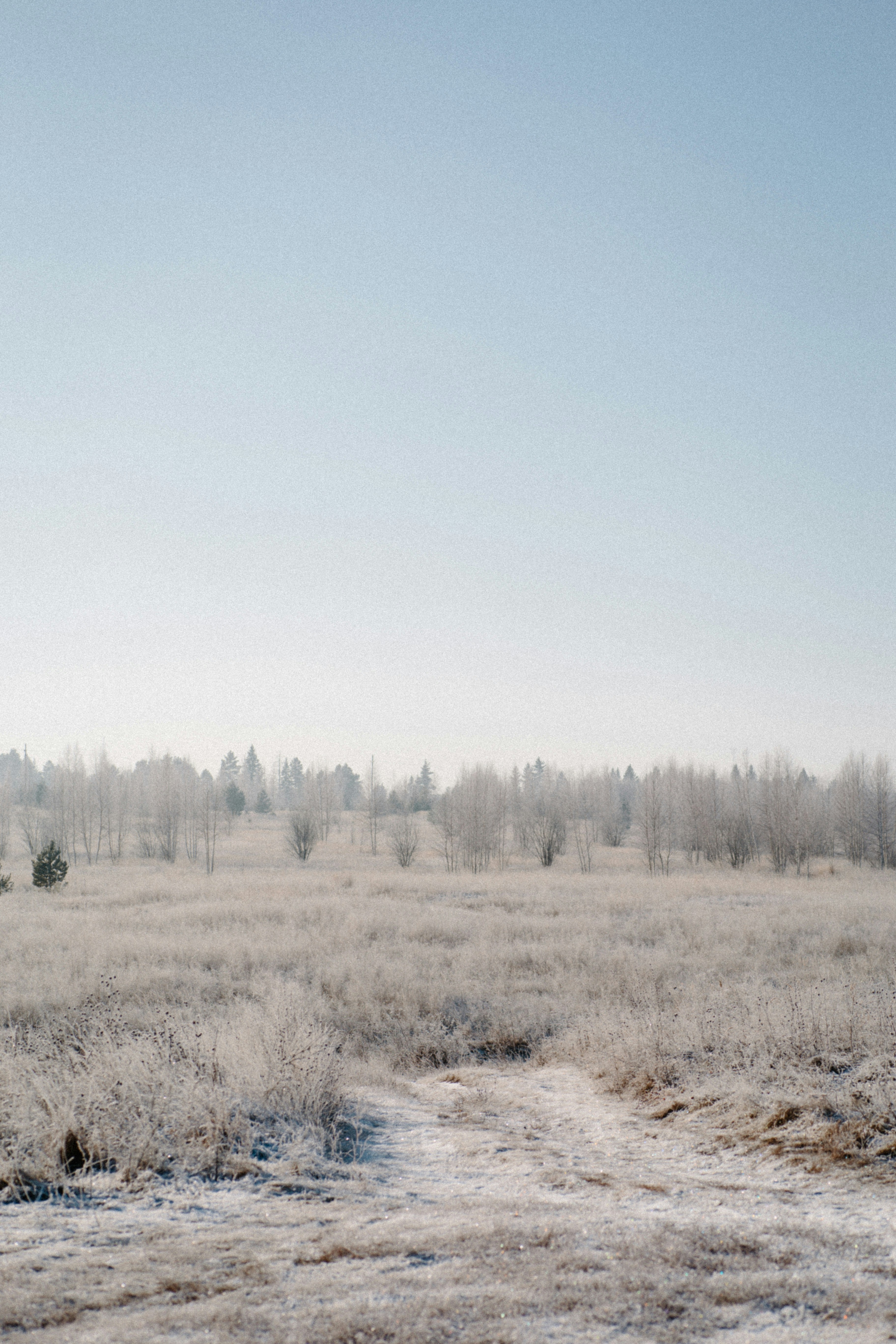 Photo by kkalerry