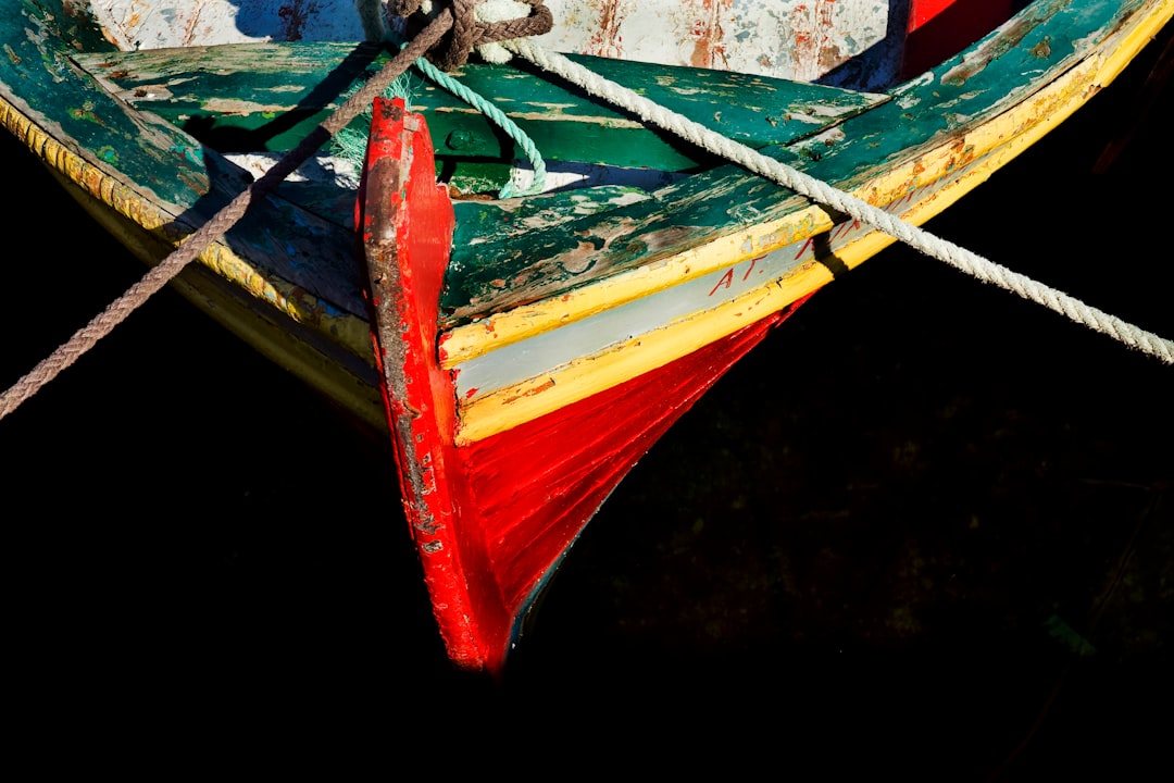 red and blue boat on water