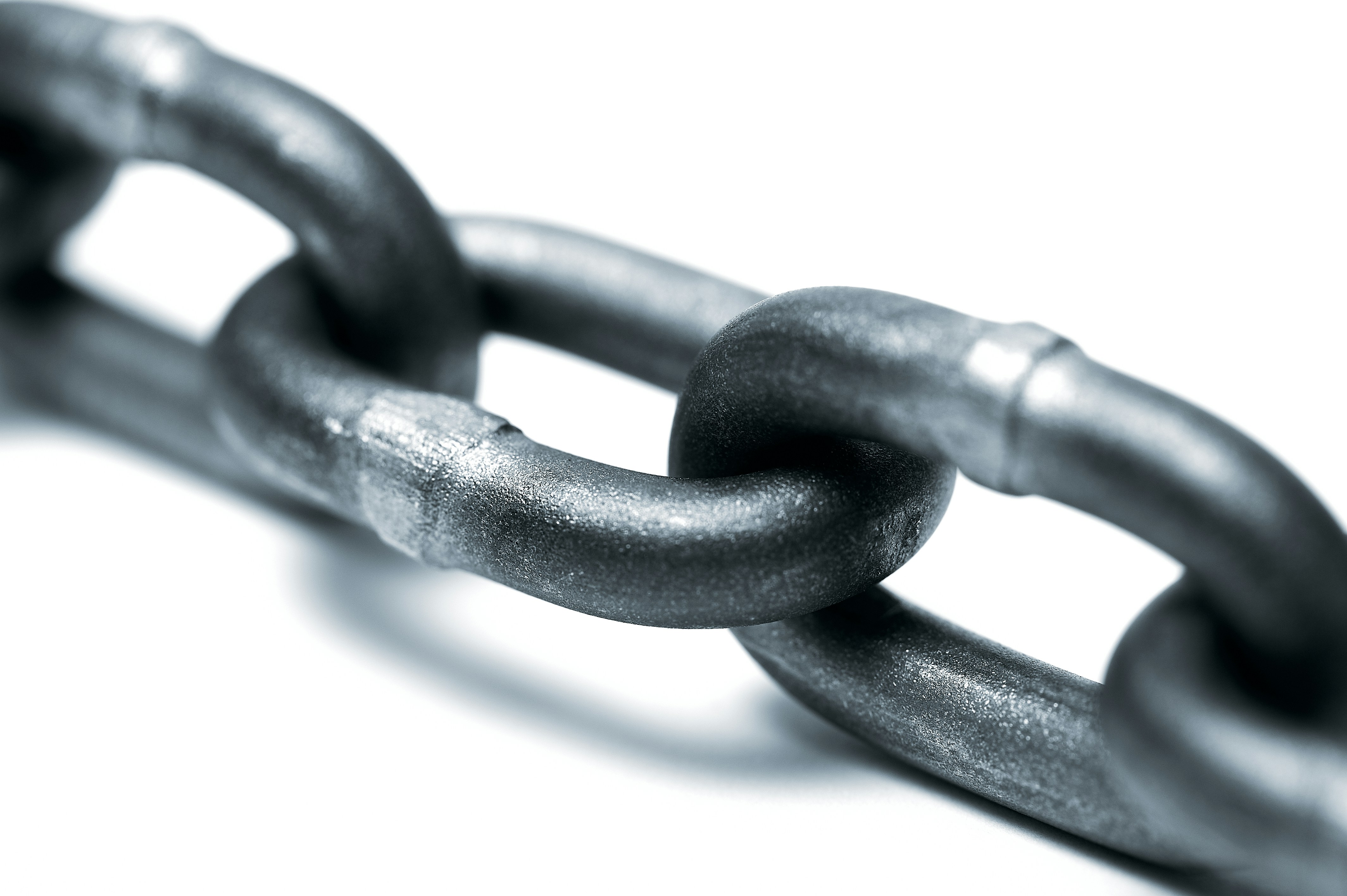 Close-up of steel chain link on white background.